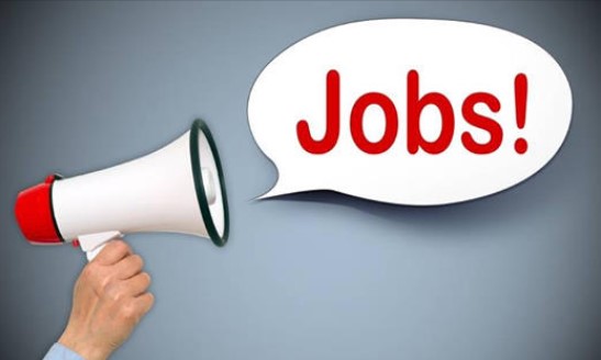 District Social Welfare Recruitment Notification for Various Posts Last Date Extended