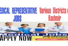 Medical Representative Vacancy Srinagar Baramulla Anantnag MR jobs